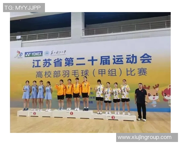 北京羽毛球队挑战赛技术分析与表现评估全方位解读