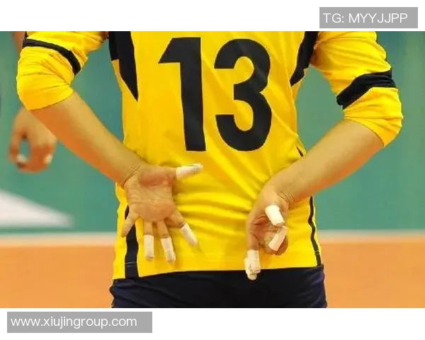 对话杨静：回顾排球生涯的辉煌与挑战分享